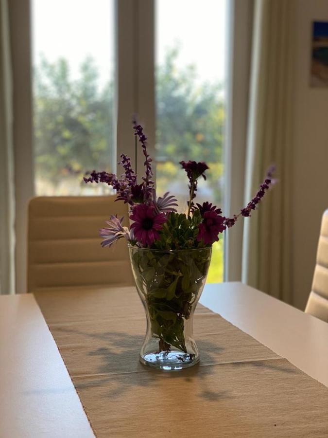 Almàsalo Apartamento